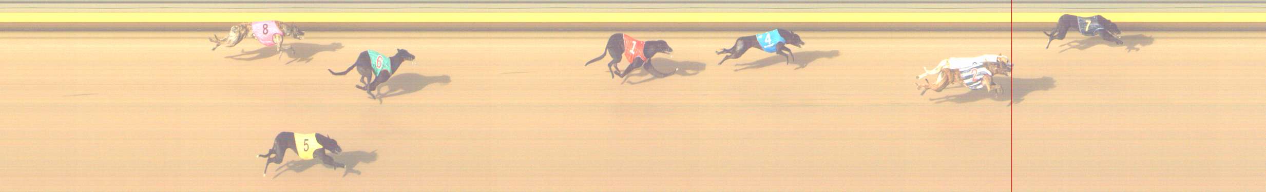Race result finish photo